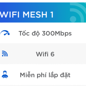 WIFI1 300Mb