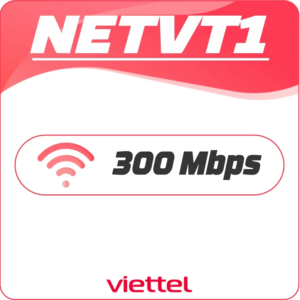 NETVT1 - 300mbps.