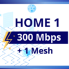HOME1 300Mbps (+1mesh)
