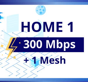 HOME1 300Mb (+1mesh)