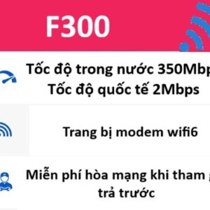 F300 350Mb