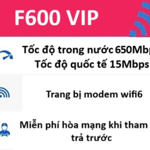 F600 VIP 650Mb