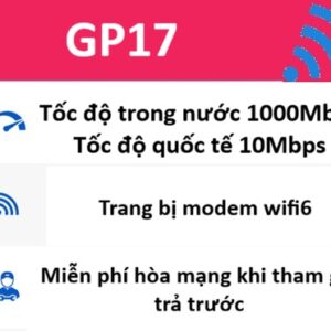 GP17 1000Mb